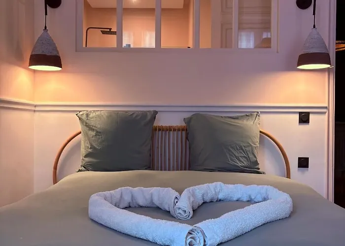 Gisele - Balneo-two Bedrooms-parking-center Saint-Etienne (Loire)